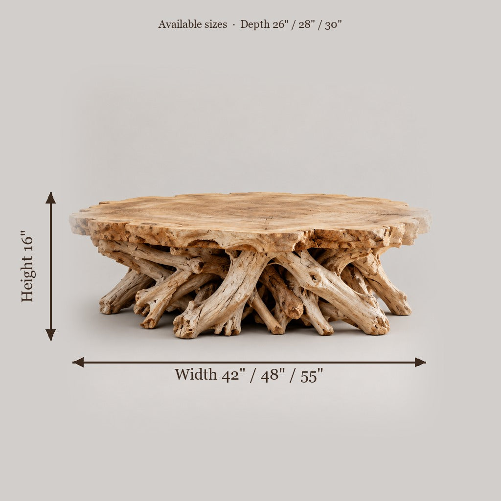 Tidewood Root Coffee Table size chart
